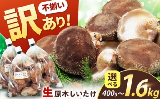 不揃いのため訳あり出品！ 原木生しいたけ