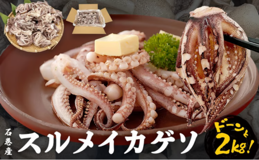 いか 〈 訳あり 〉配送時期指定なし 宮城県産 スルメイカ ゲソ 2kg