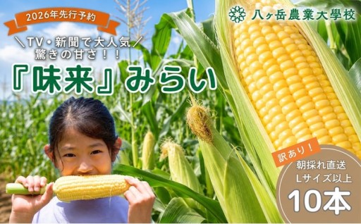 もうすぐ終了！【 訳あり 】 朝採れ 直送 フルーツのような甘さ 『 皮付き 』 生とうもろこし 10