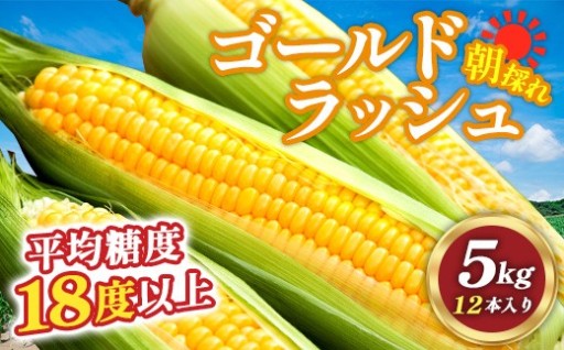 【かぶりつく夏の幸せ♪】スイートコーン「ゴールドラッシュ」（5kg）