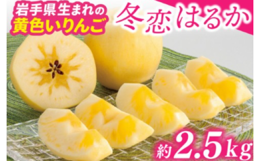 ＼リピーター多数／ 黄色いりんご ｢はるか｣