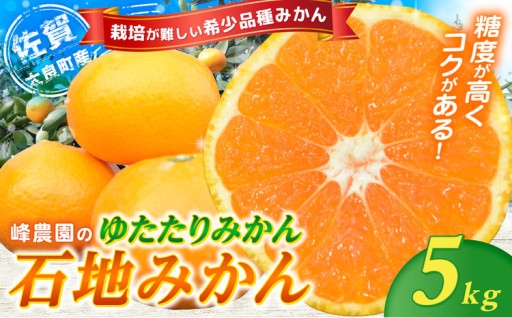 ＼希少品種！／峰農園のゆたたりみかん【石地みかん】5kg