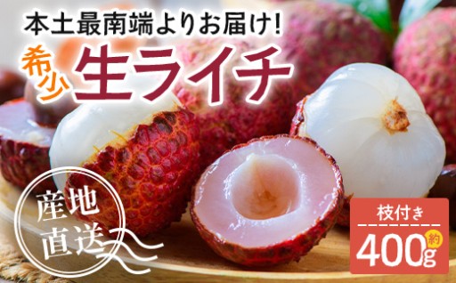 【今が旬！数量限定】本土最南端よりお届け！希少生ライチ（約400g）TE-1