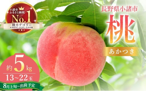 【受付終了目前】いよいよ収穫！果汁あふれる極上桃「浅間水蜜桃」