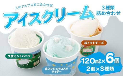 九州アルプス商工会女性部アイスクリーム 計6個入（各種2個入）