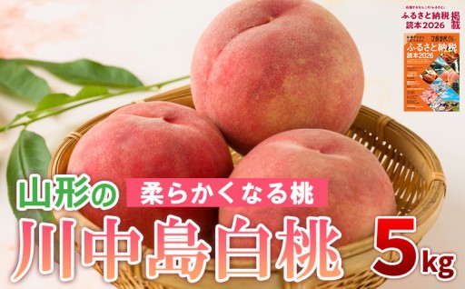 山形の川中島白桃 5kg [柔らかくなる桃] 