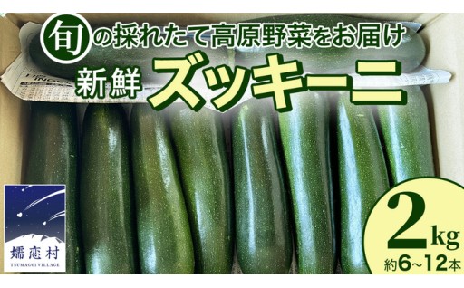 旬の採れたて 新鮮 ズッキーニ 2kg （約6～12本）