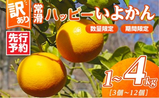 【先行予約】【訳あり】🍊常滑ハッピーいよかん🍊【選べる容量】1kg～4kg