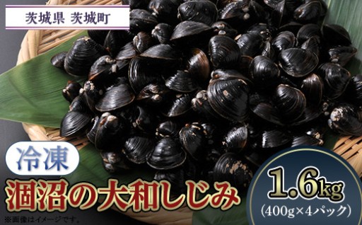 【おうちで料亭気分♪】涸沼の大和しじみ（1.6kg）