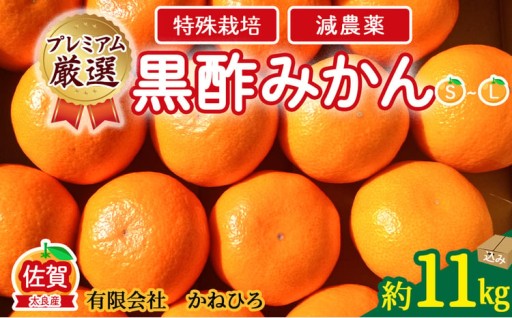 かねひろの黒酢みかん【プレミアム】11kg