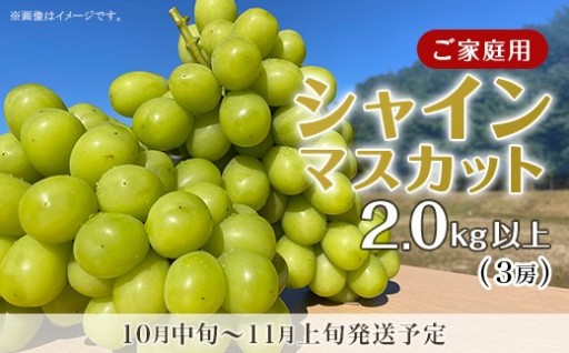 【お得に旬を満喫♪】〈訳あり〉シャインマスカット3房（2kg以上）