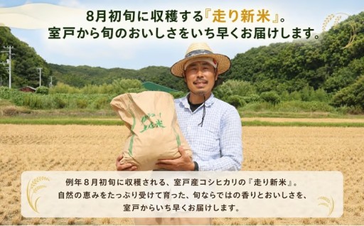 早い！！8月中旬から発送！新米コシヒカリ5kg