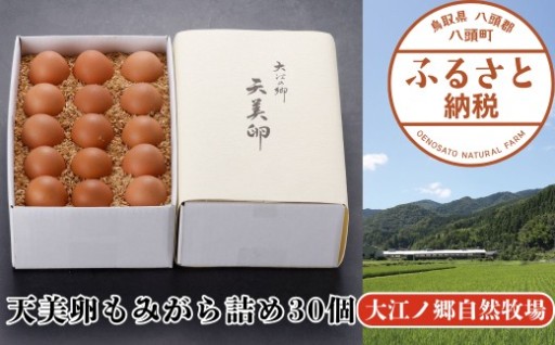 朝採れ！平飼い天美卵30個