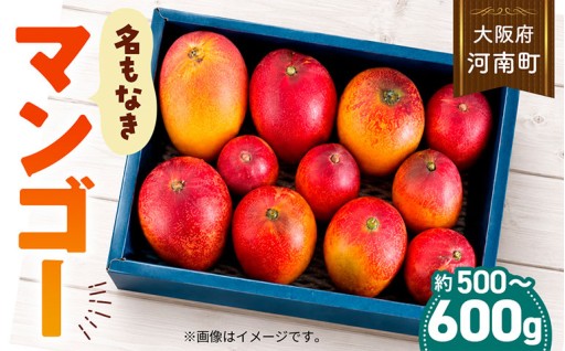 名もなきマンゴー 詰め合わせ 約500～600g　大きさ不揃い