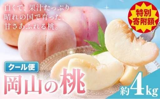 【特別な寄付額】旬の味わい！みずみずしい上品な白桃🍑