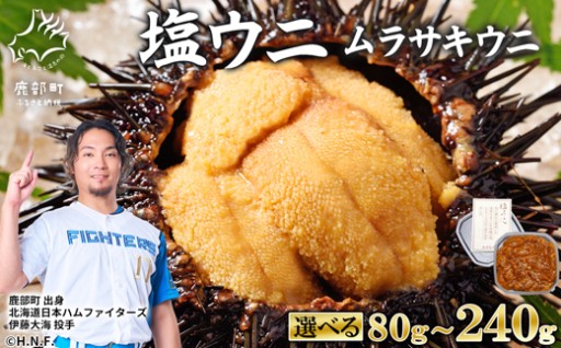 塩ウニ〈ムラサキウニ〉の受付を再開しました！