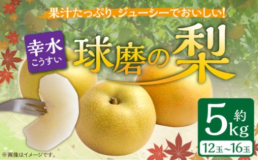 熊本県ＪＡくま産　球磨の梨　幸水 5kg（12玉～16玉）