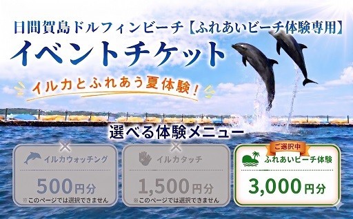 夏は日間賀島でイルカとふれあおう♪