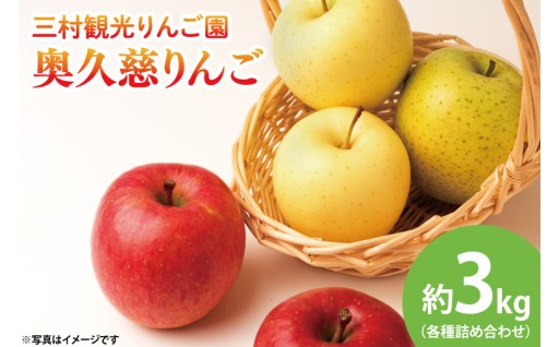 【先行予約】樹上完熟！奥久慈りんご食べ比べ3㎏