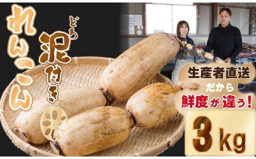【先行予約】佐賀県産泥付きれんこん3kg
