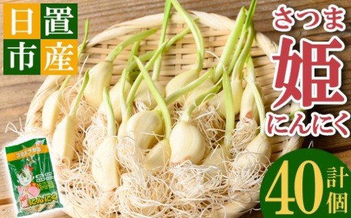 鹿児島県産さつま姫にんにく(20個×2袋・計40個)
