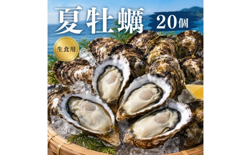 夏牡蠣始めました！！