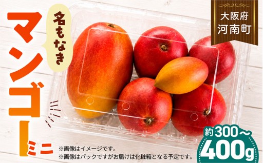 名もなきマンゴー ミニ 詰め合わせ 約300～400g　大きさ不揃い