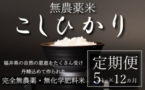 ＼新米予約スタート！／ 一年中楽しめる、安心の無農薬コシヒカリ定期便