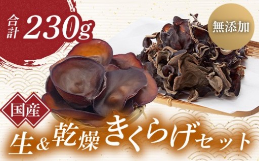 【無添加・無農薬で安心】きくらげセット (生・乾燥)