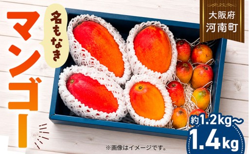 名もなきマンゴー 詰め合わせ 約1.2～1.4kg　大きさ不揃い