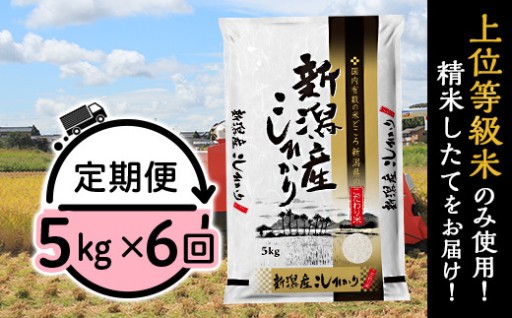 【お米切れの心配なし！】新潟県産コシヒカリ5kg（6ヶ月定期便）