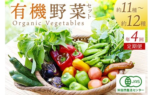 年4回お届け！オーガニック野菜セット🥬🥦🧅🥕🍅