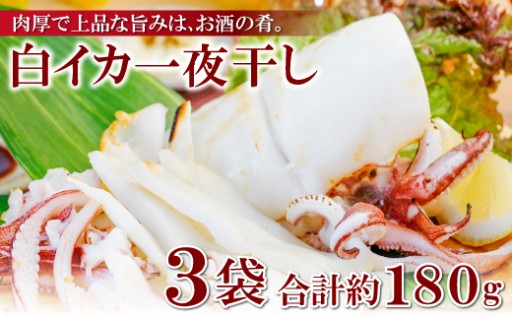 旨味が弾ける！一本釣り白いか一夜干（3枚入）🦑