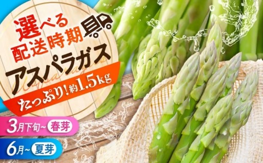 ＼みずみずしい！／三次産夏芽アスパラガス