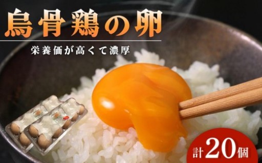 卵 烏骨鶏卵 20個セット
