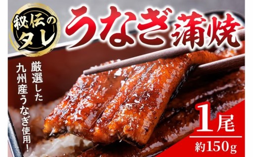 うなぎの蒲焼(一尾)