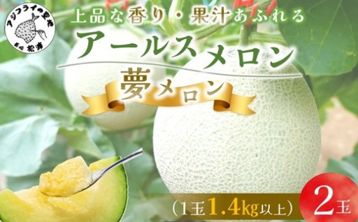 《期間限定！果実の王様にメロメロ🍈