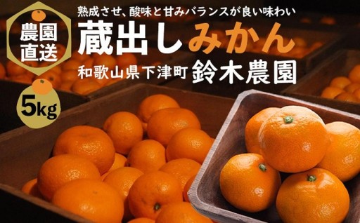 蔵出しみかん 5kg 大小混合サイズ 訳あり