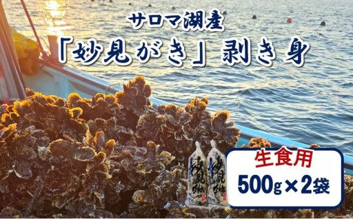船から名付けたブランド牡蠣🦪