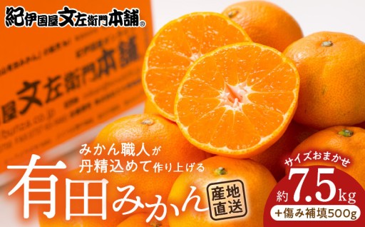 【2026年先行予約】有田みかん約7.5kg(+傷み補填分500g)=合計8kg【サイズおまかせ】