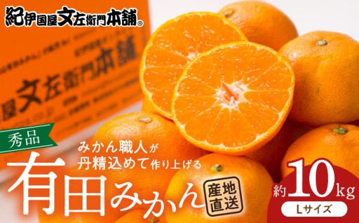 【2026年先行予約】ブランド有田みかん【Ｌ】秀品10kg