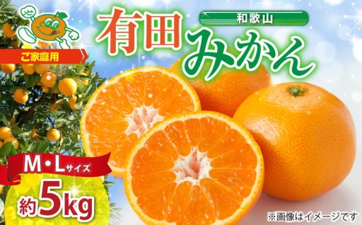 【2026年先行予約】ご家庭用　和歌山 有田みかん 約5kg (M、Lサイズ)