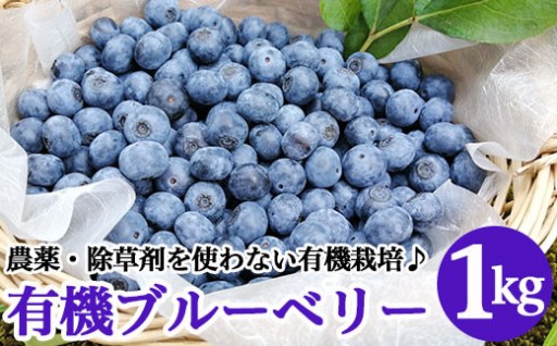 【手軽に楽しむ有機果実♪】有機ブルーベリー（1kg）