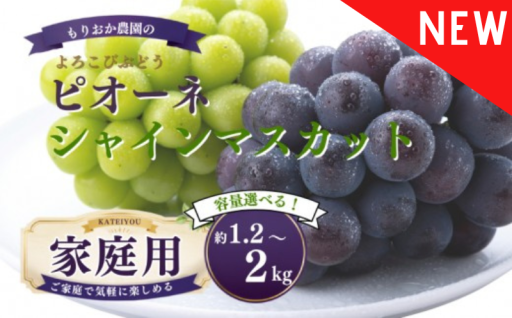 家庭用ピオーネ＆シャインのセット、返礼品に仲間入り！