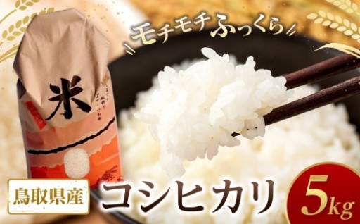 米 コシヒカリ 令和7年産 鳥取県産 5kg