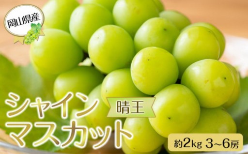 岡山県産 ぶどう 2026年発送 シャインマスカット 晴王 約2kg 3～6房 種無し 
