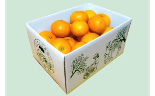 【2027年発送分 先行受付】たんかん ご家庭用バラ詰め5kg