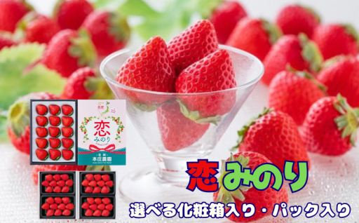 先行受付！数量限定！！新品種いちご「恋みのり」