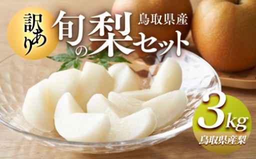 【訳あり】鳥取県産旬の梨セット 3kg