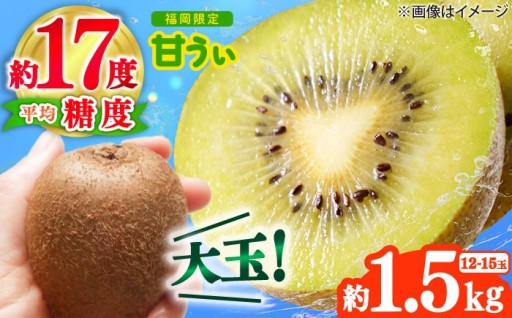 【先行予約】糖度18度！福岡の甘うぃ🥝